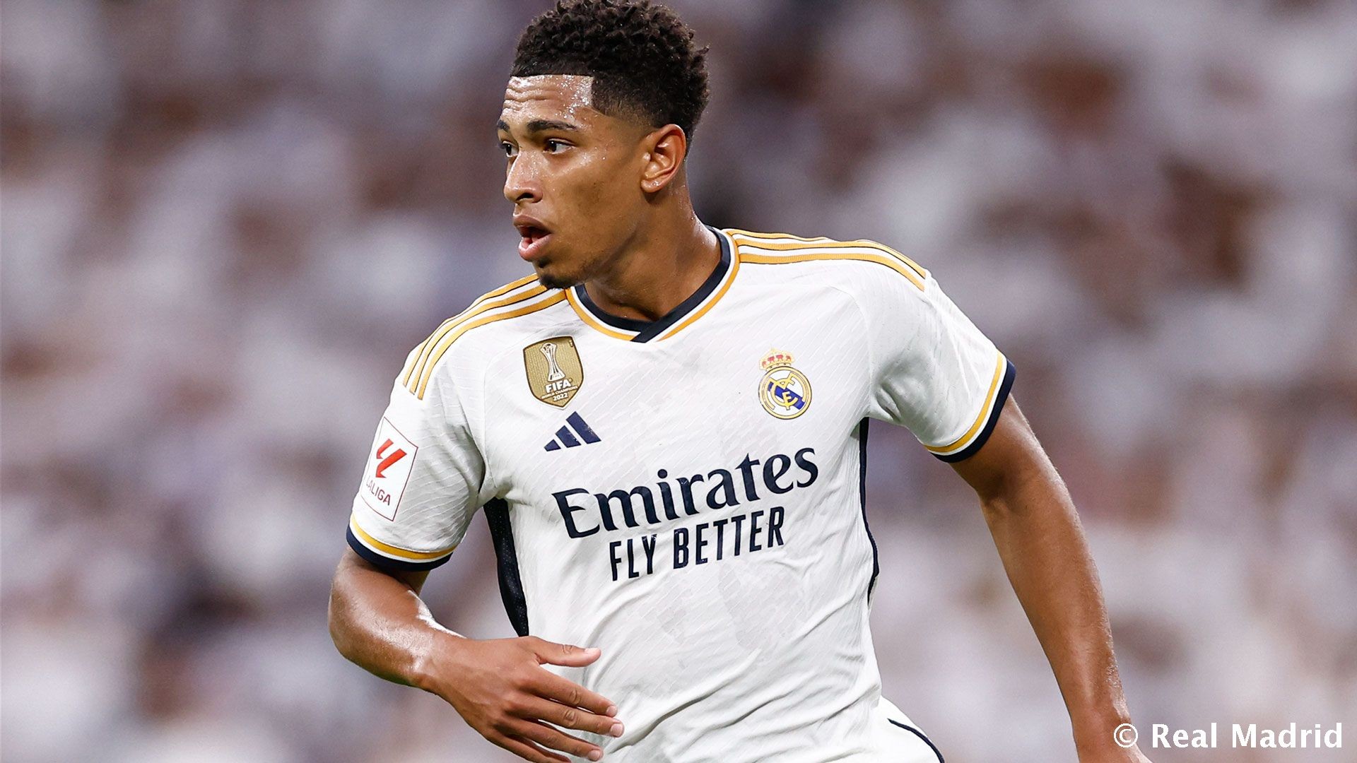 名帅的权威 名帅的权威